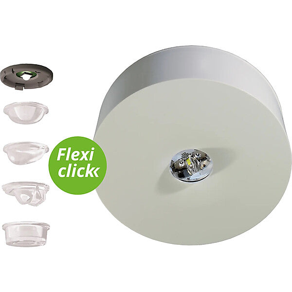 RP-Group Sicherheitsleuchte ZB ILDL029ML